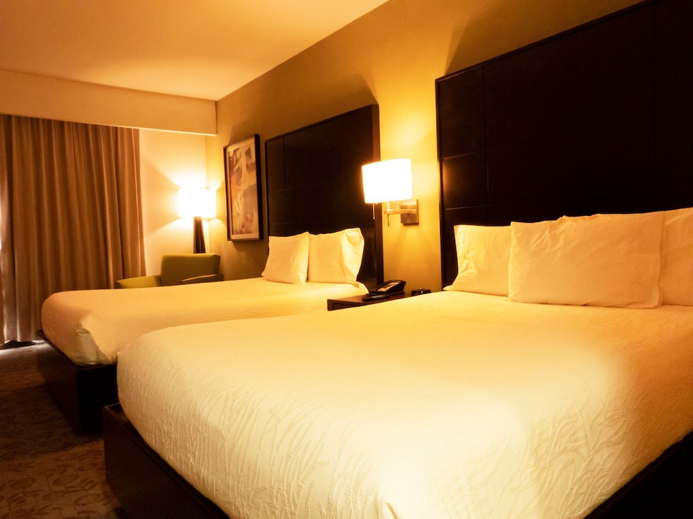Hilton Garden Inn Tuxtla Gutierrez 15/59