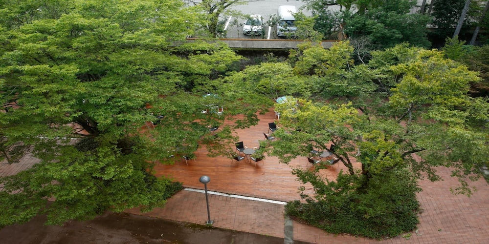 Hanatsubaki 66/67
