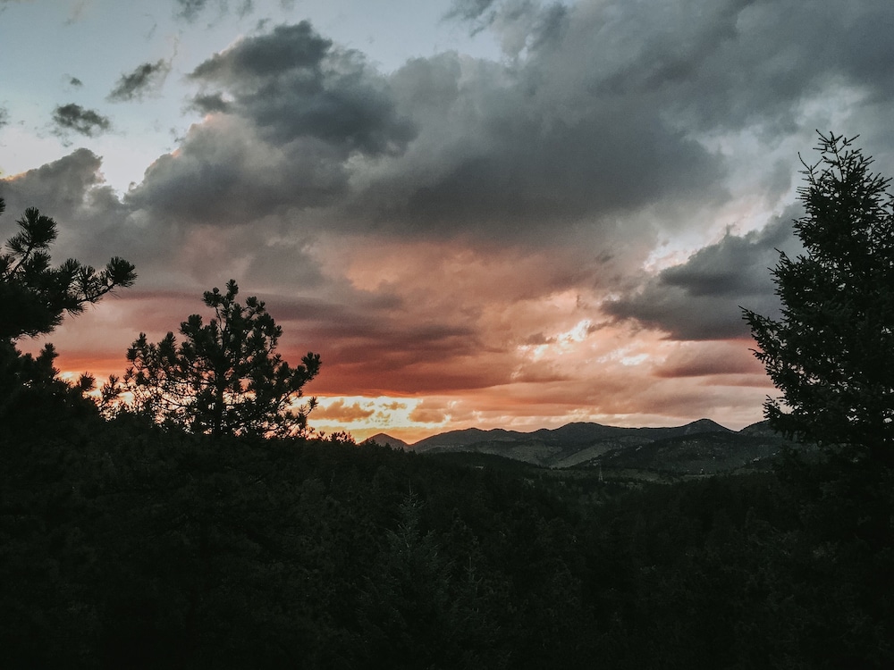Juniper Mountain House 43/50