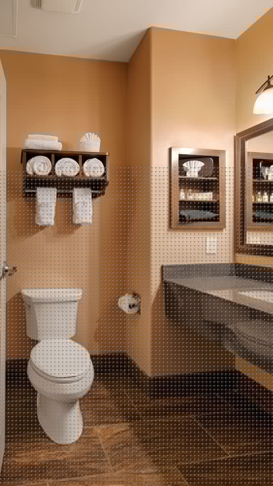 Best Western Plus Emerald Inn & Suites 14/39