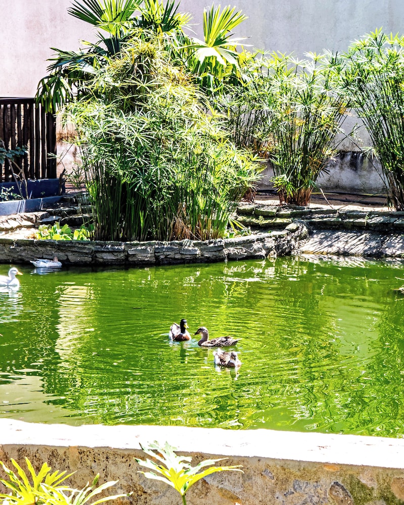Espelho d'Água Arraial Praia Hotel & Beach Club 73/76