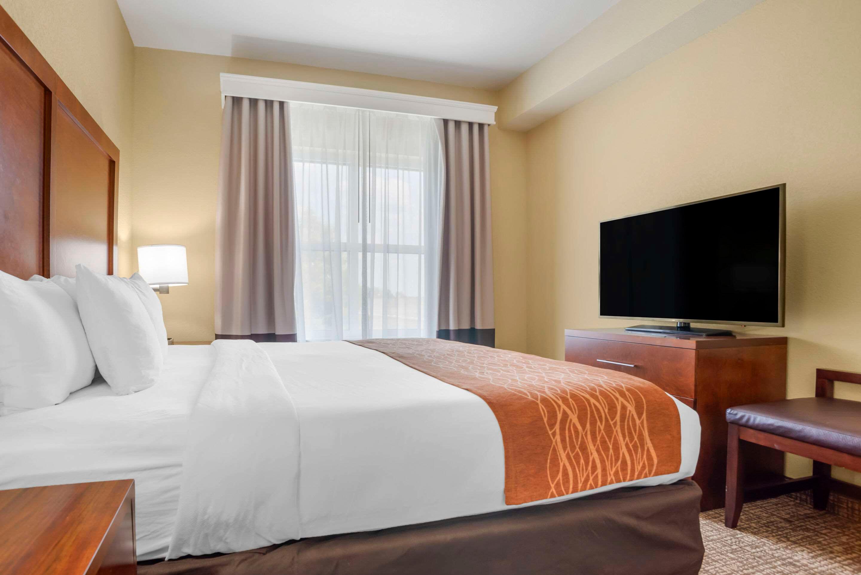 Efficiency, Suite, King Bed
