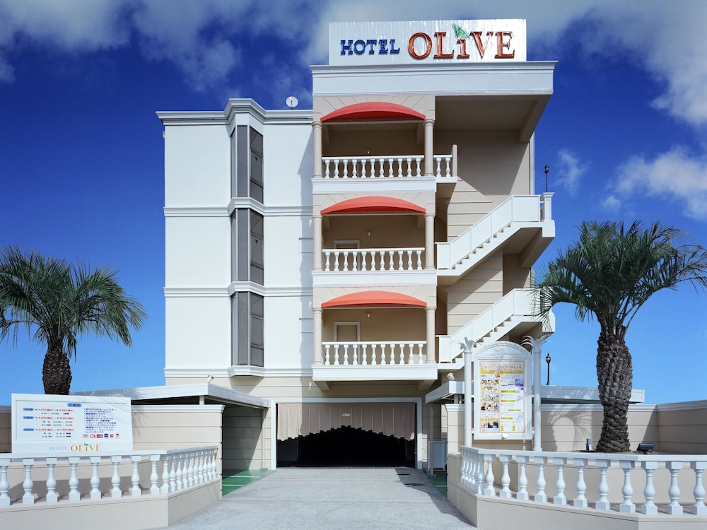 Olive Sakai Hotel in SAKAI