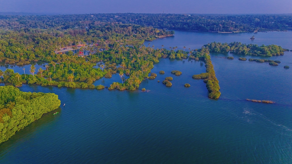 Fragrant Nature Backwater Resort & Ayurveda Spa 42/50
