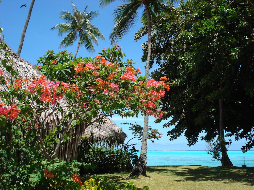 Hotel Hibiscus 15/75