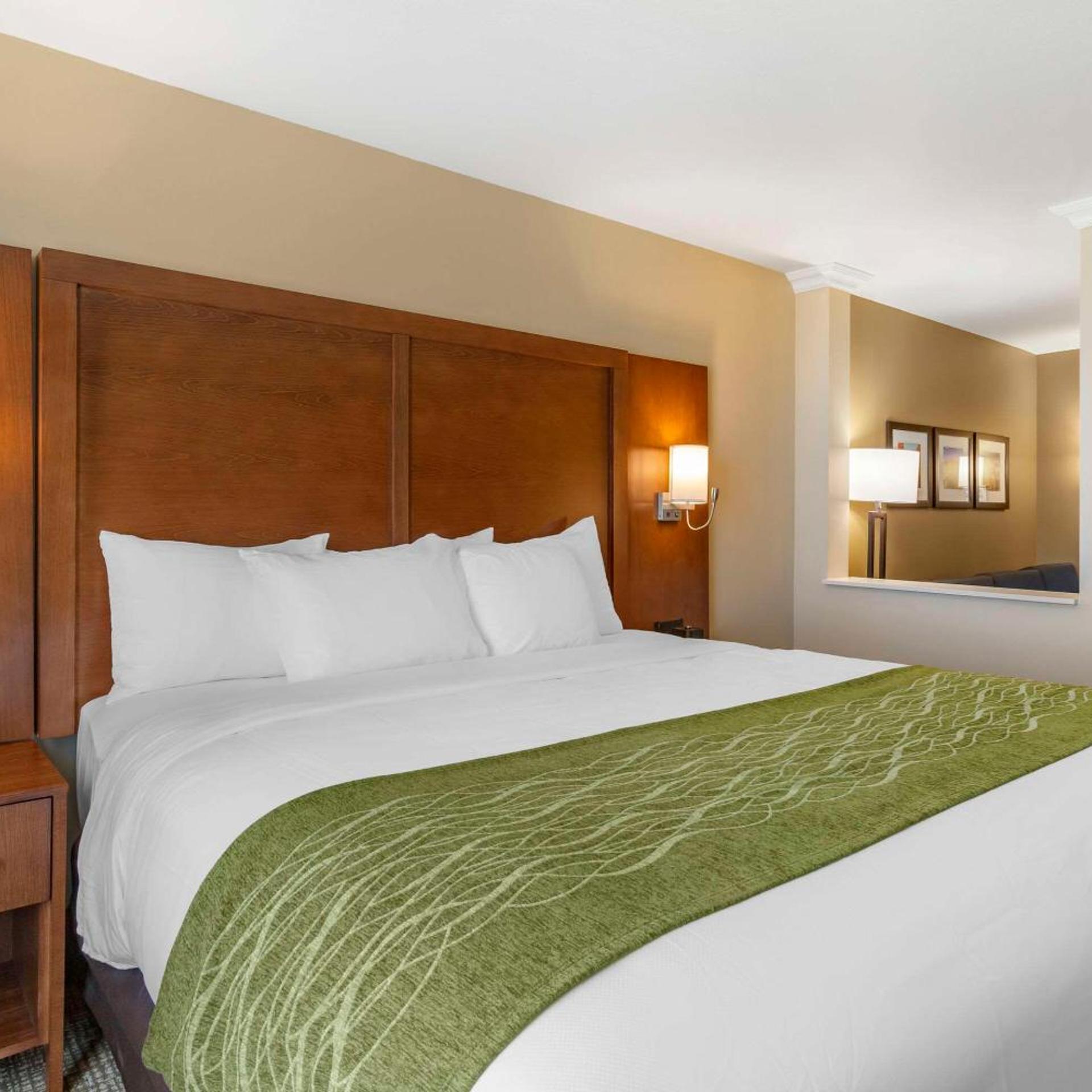 EFFICIENCY, SUITE, KING BED