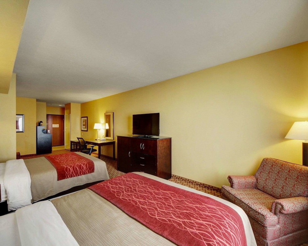 Comfort Inn & Suites Donna Near I-2 16/44