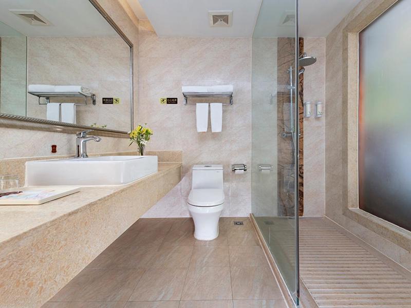 Vienna Hotel Shenzhen Pingshan High Speed Railway Station 15/15