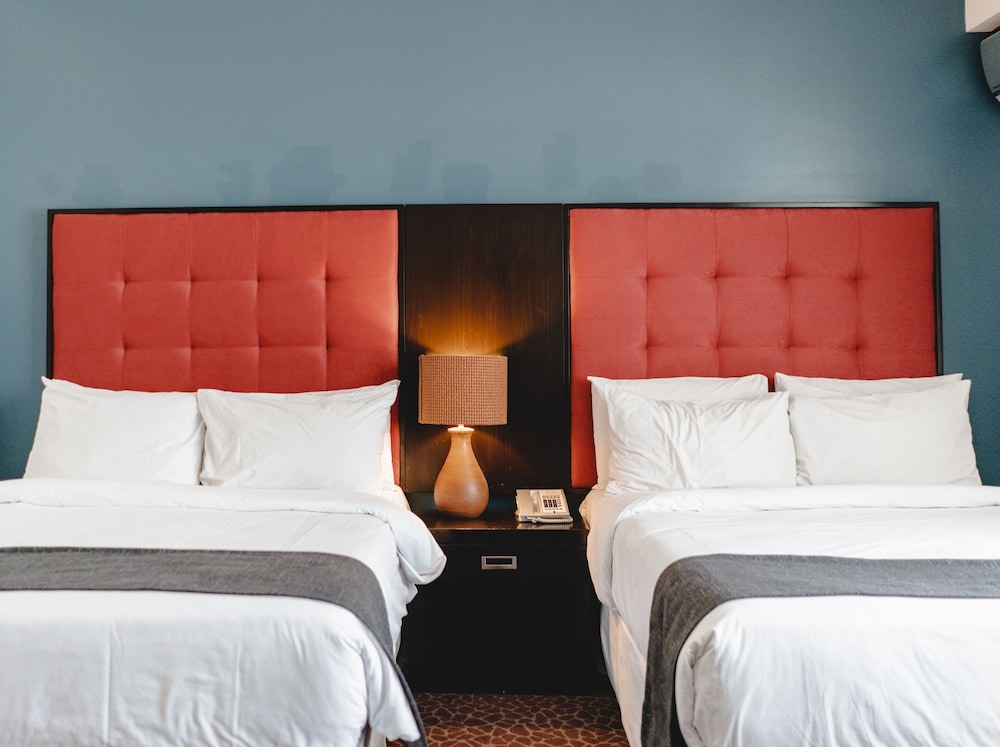 Kc Hotel San Jose 42/84