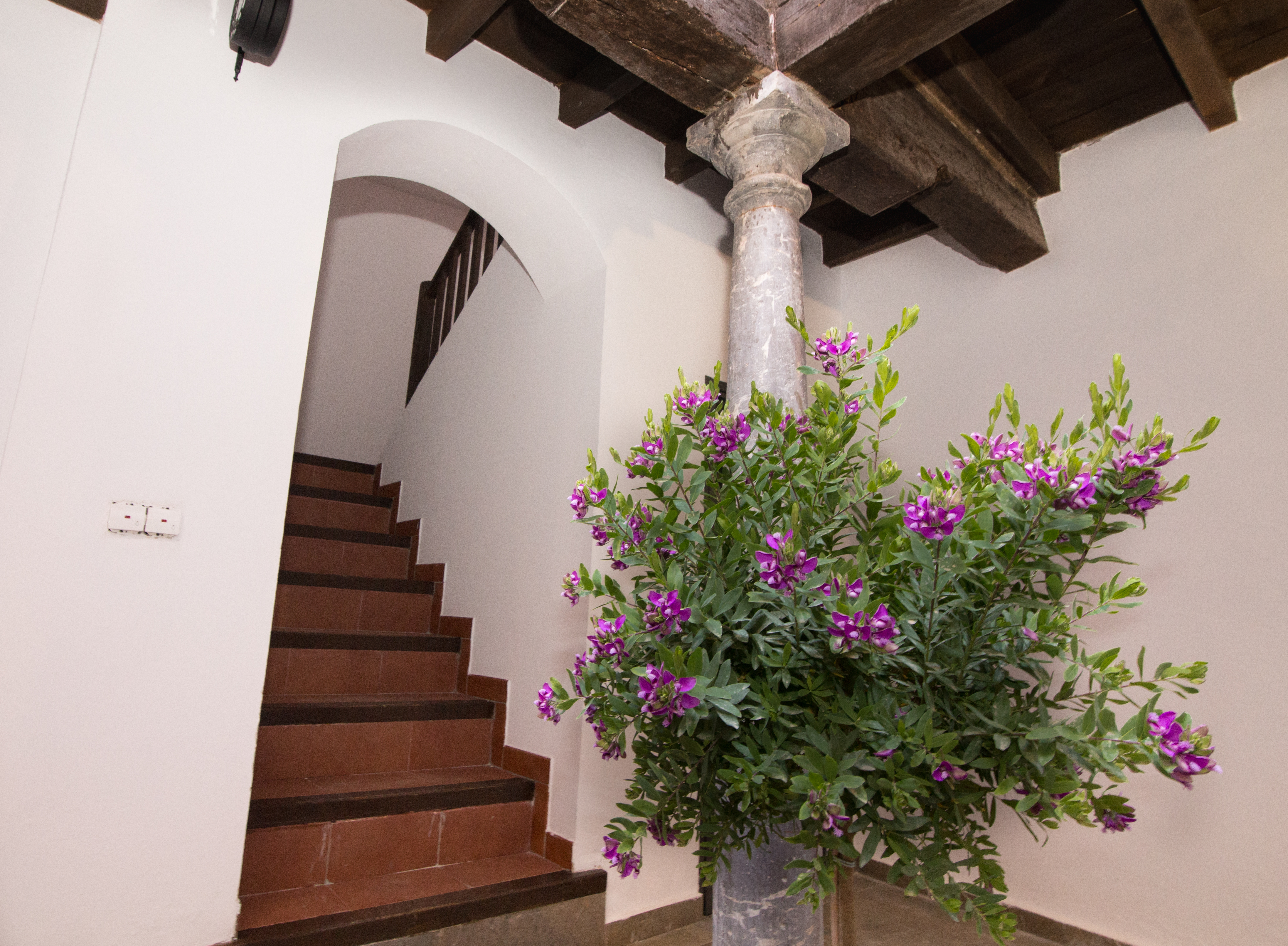 Apartamentos Nahira Suites 3000 6/50