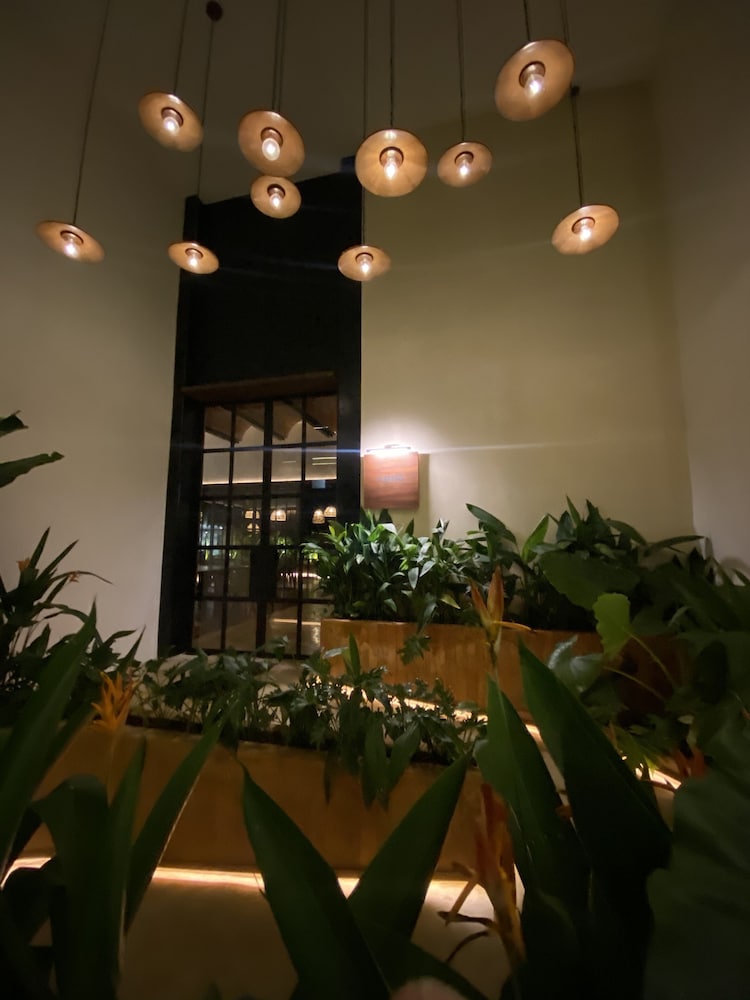 Las Brisas Merida 1/50