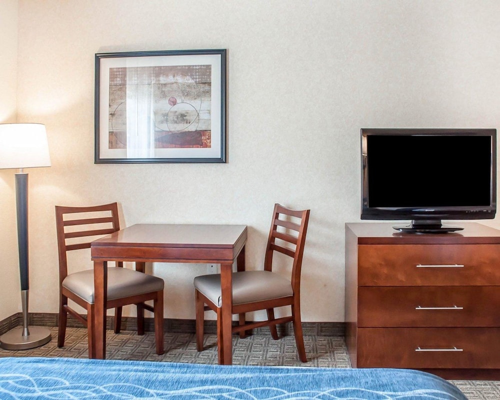 Comfort Inn & Suites Hamburg - Buffalo South 27/29