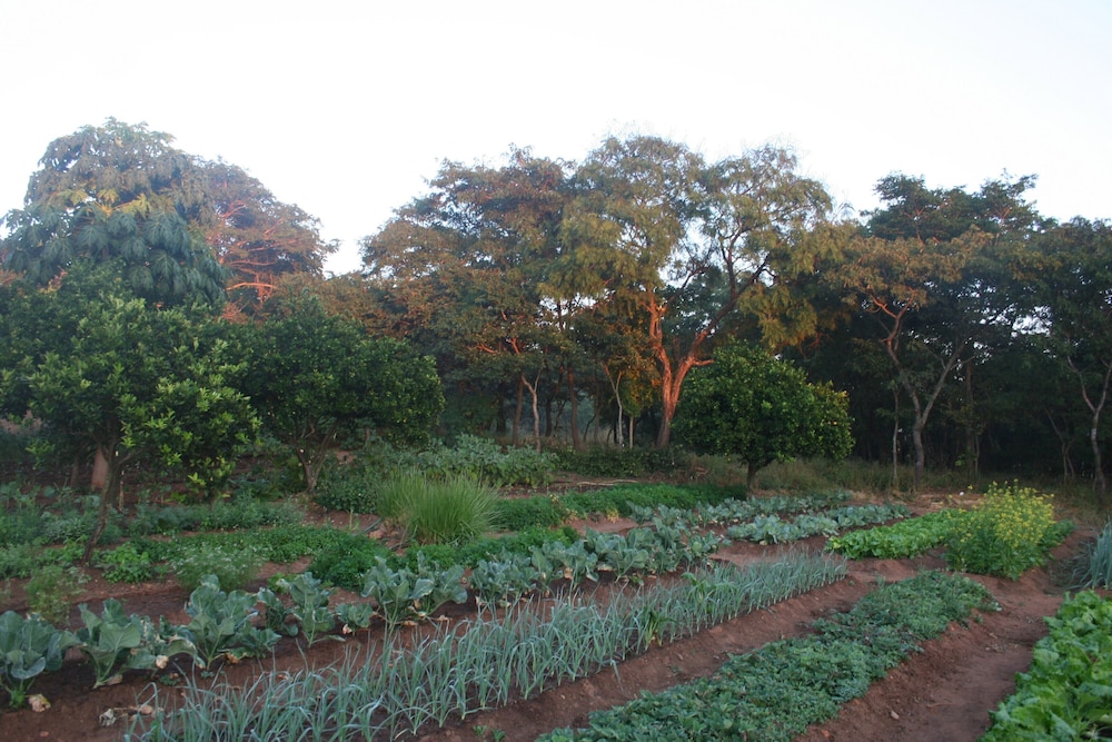 Kumbali Country Lodge 40/50