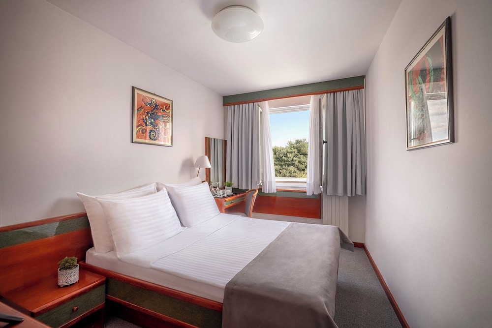 Pineta Hotel 9/50