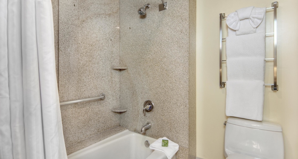 Best Western Plus Palm Court Hotel 15/42