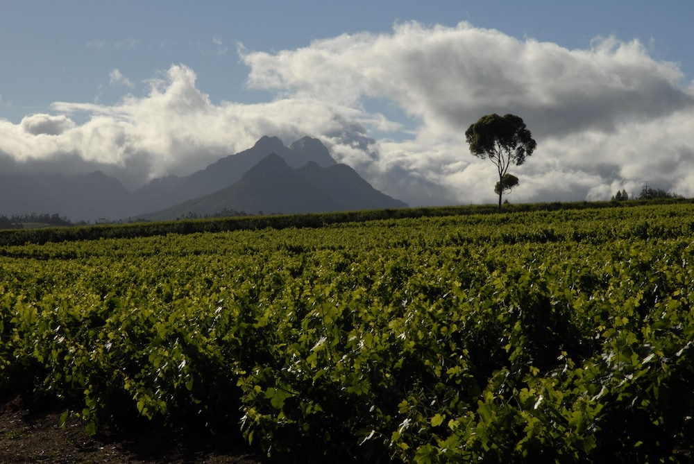 L Avenir Country Lodge 25/25