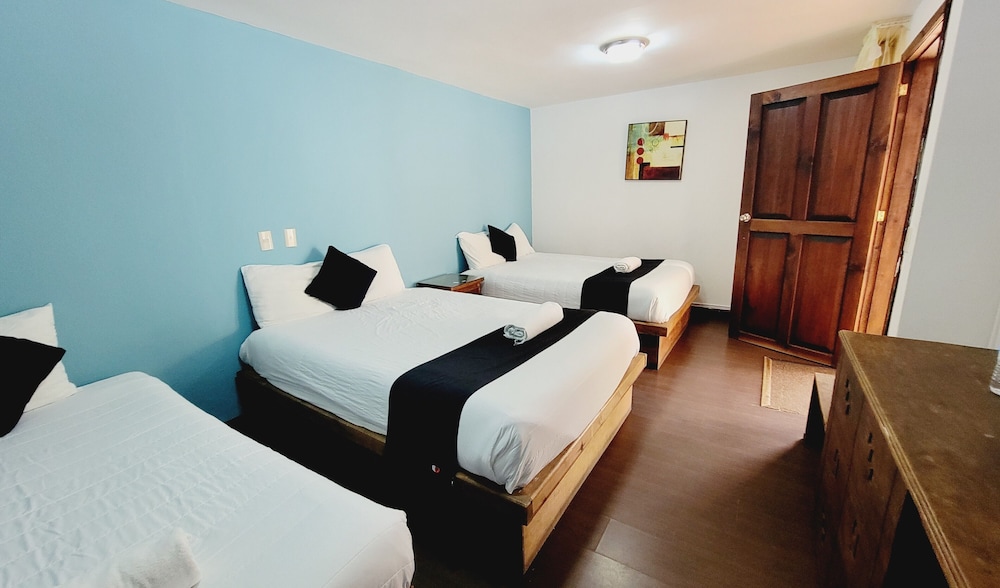 Hotel Jardines de Luz 22/49