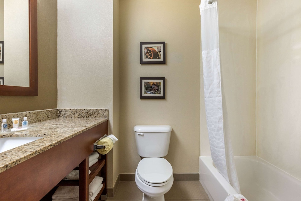 Comfort Suites Johnson City Near University 6/36