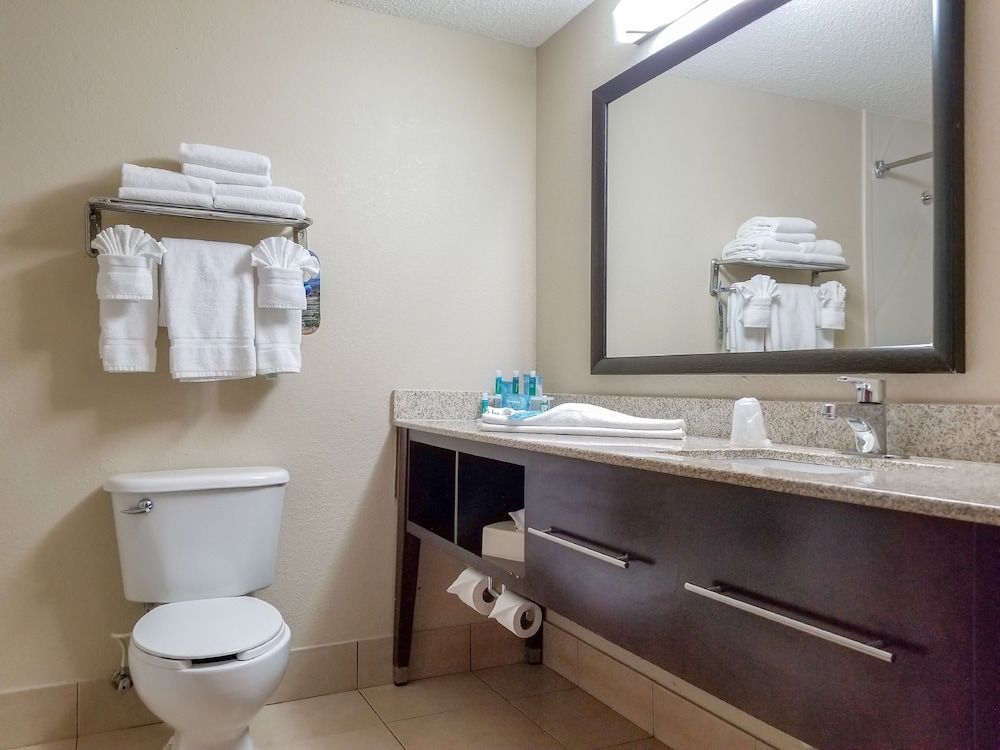Holiday Inn Express Hotel And Suites Orange City 30/63