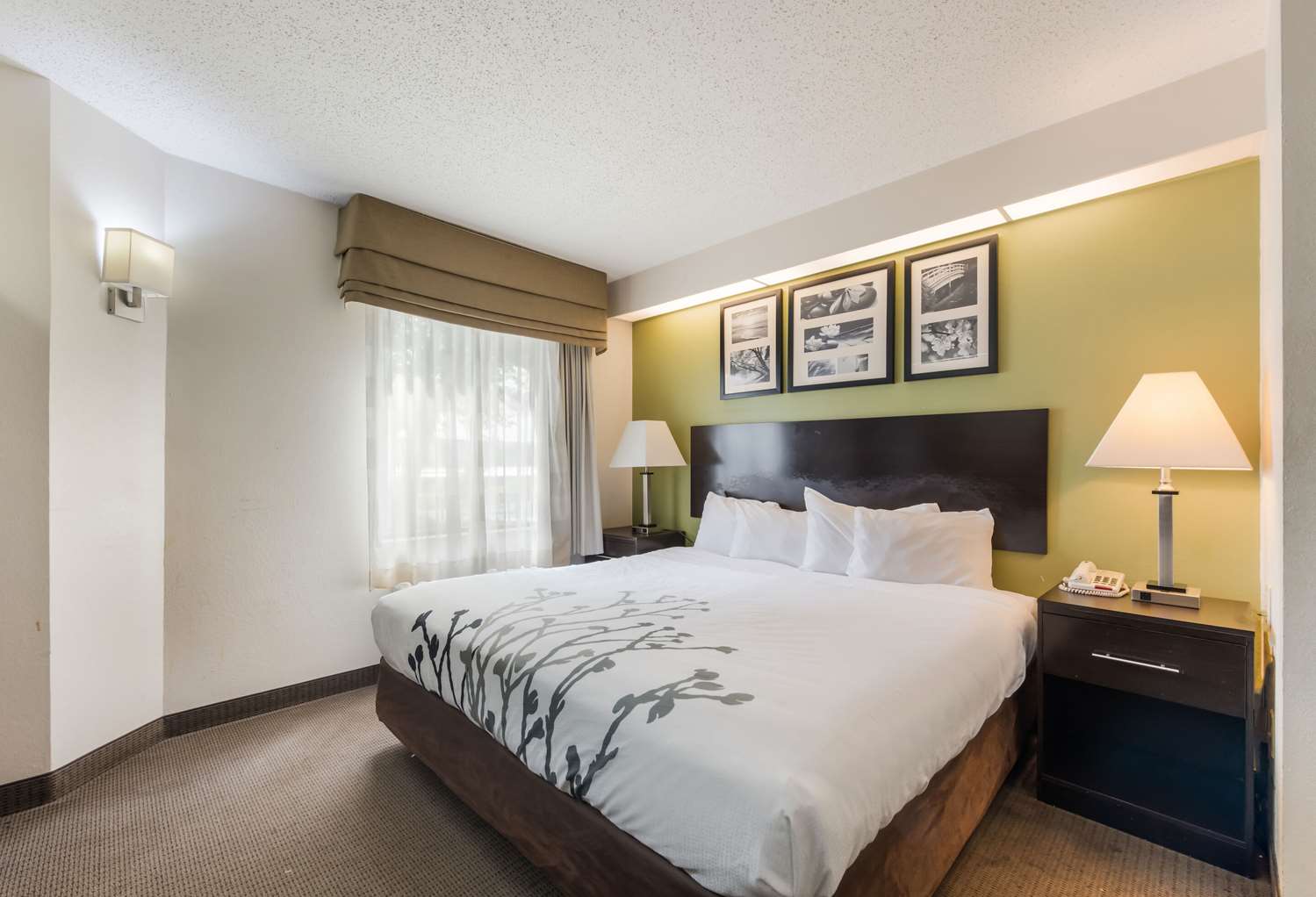 Studio6 Suites - Knoxville, TN - Downtown 12/35