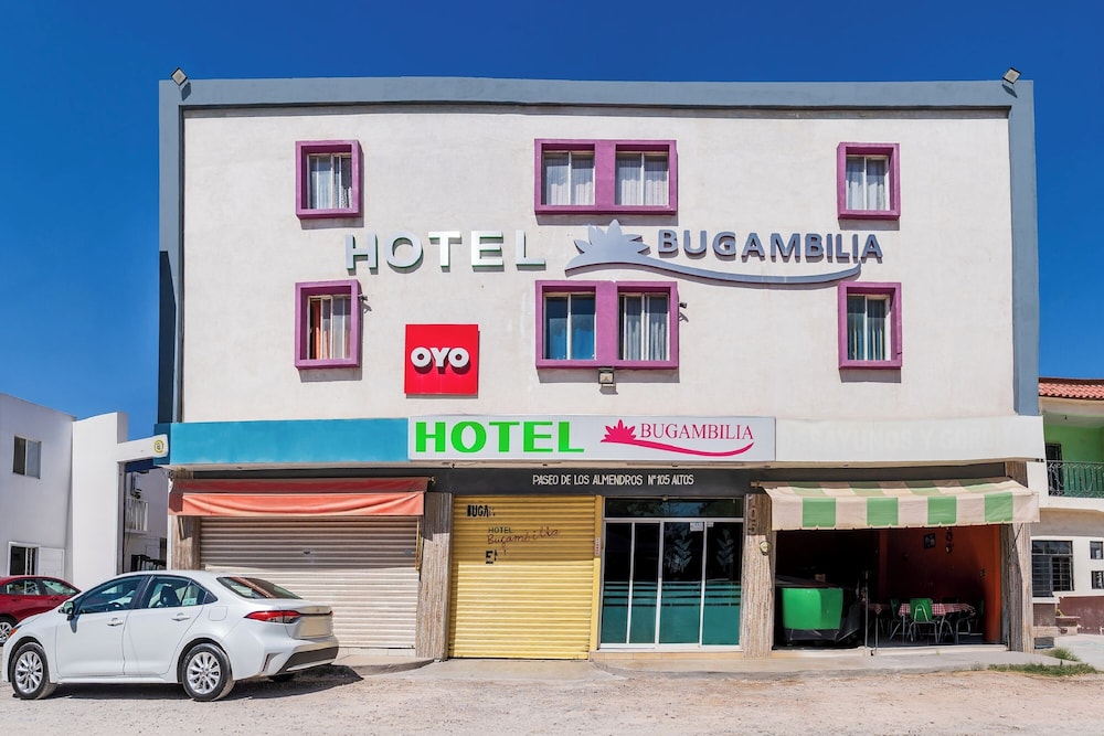 OYO酒店Posada Bugambilia, San Luis Potosi(OYO Hotel Posada Bugambilia, San Luis Potosi) 图片4