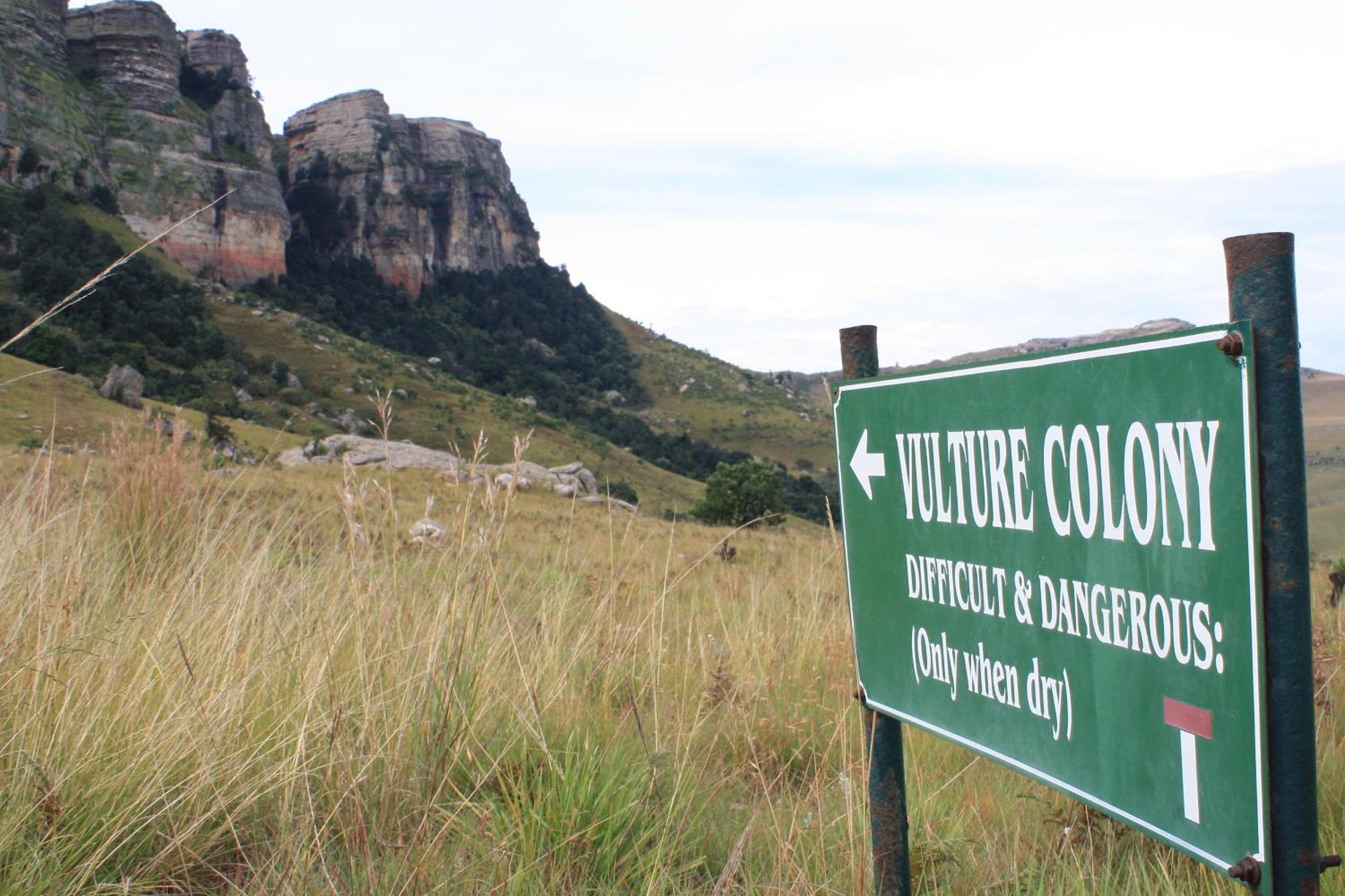 Greenfire Drakensberg Lodge 2/48