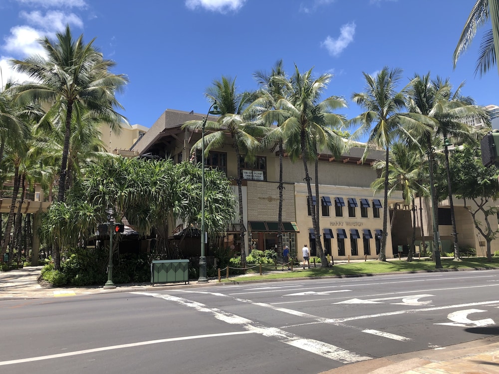 Tropical Studios At Marine Surf Waikiki 44/50