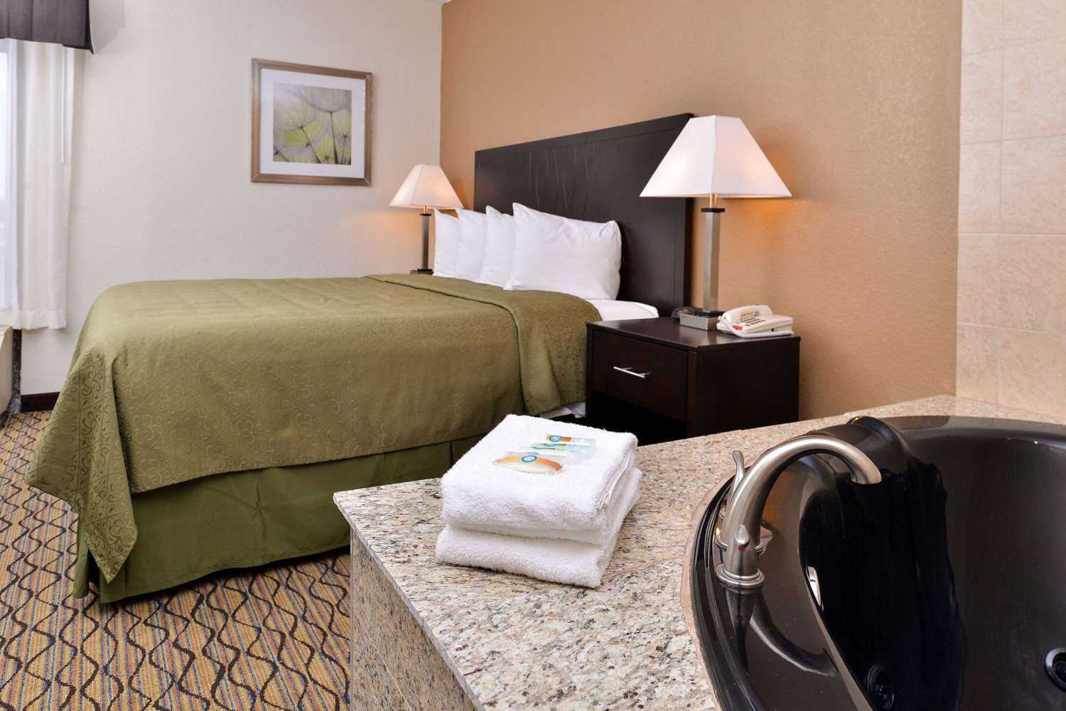 Quality Inn & Suites Matteson near I-57 11/30