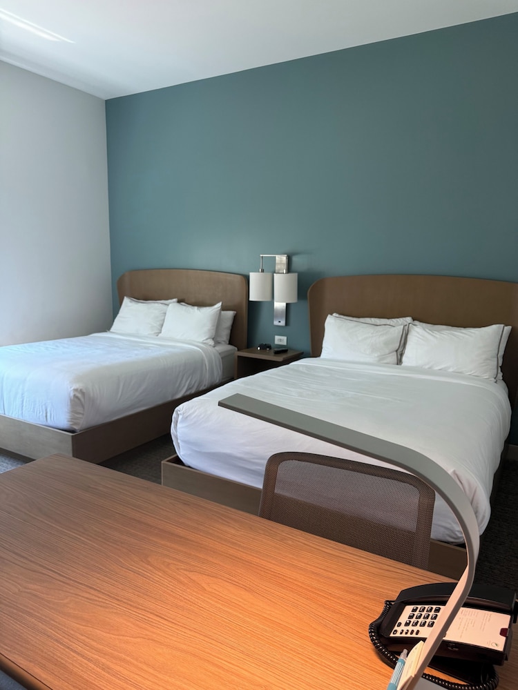 studio, 2 queen beds