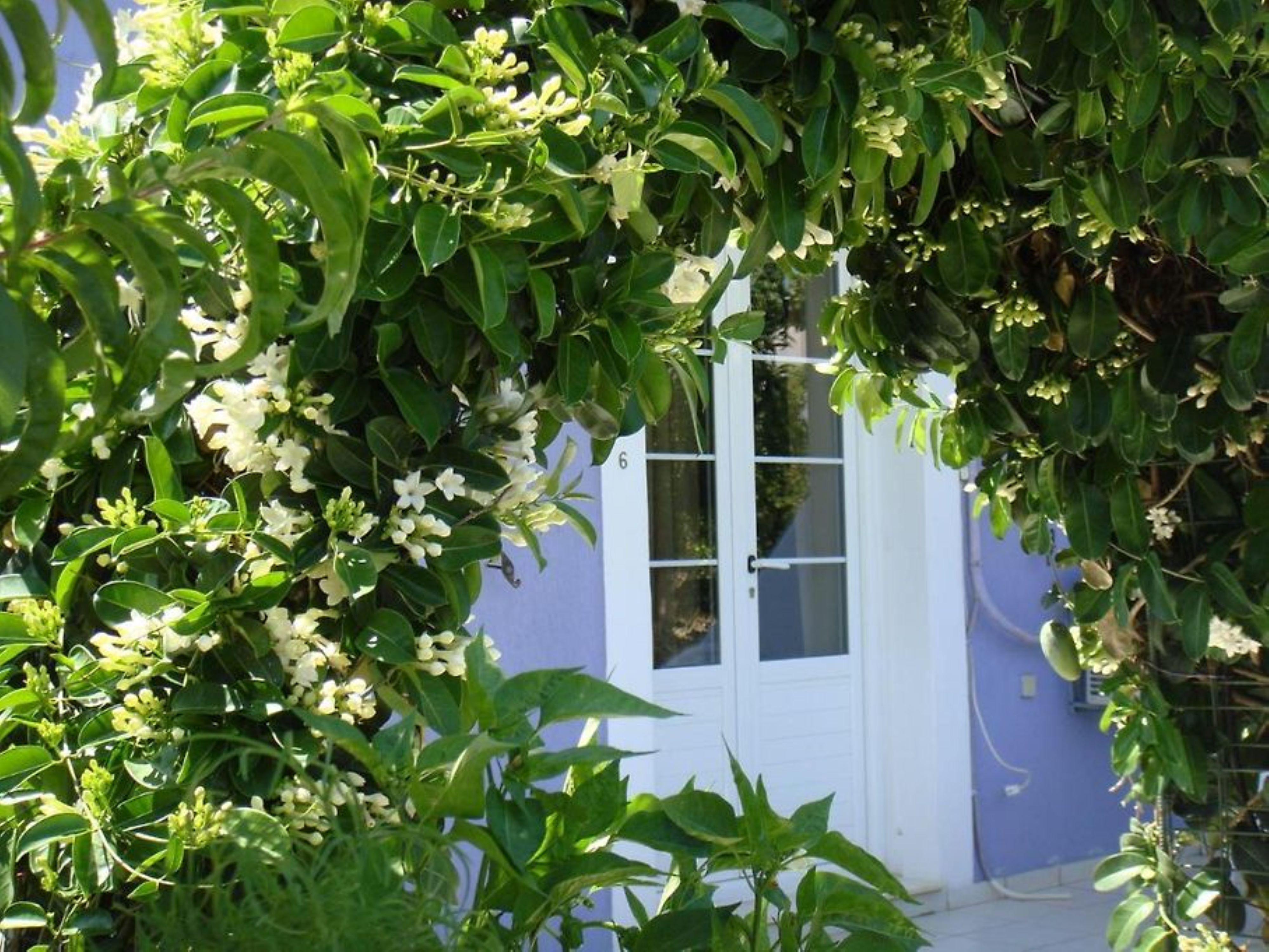 Villa Eliza 16/19