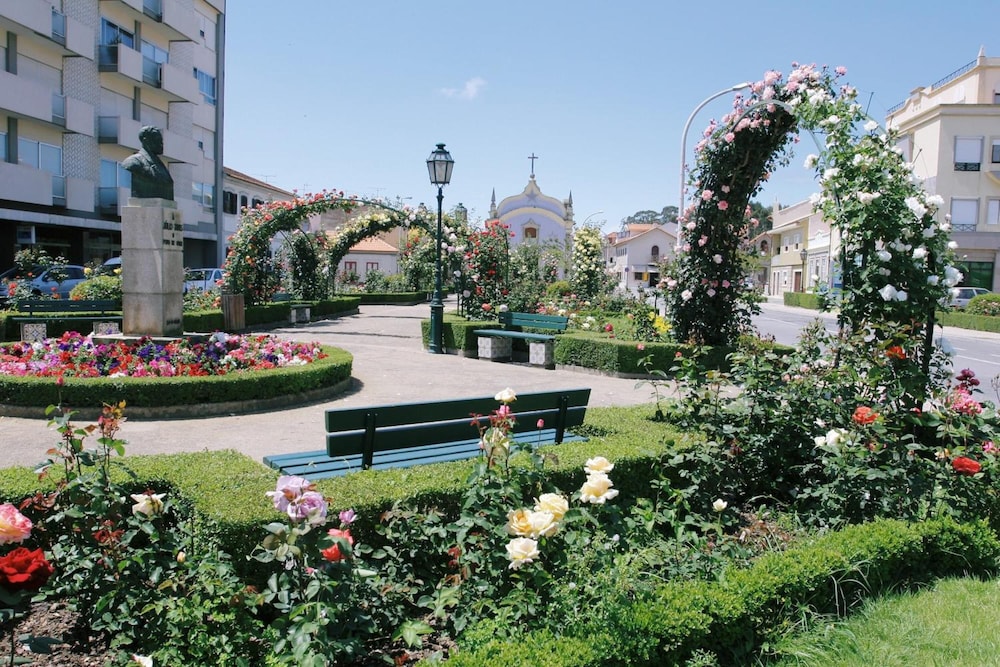 surroundings