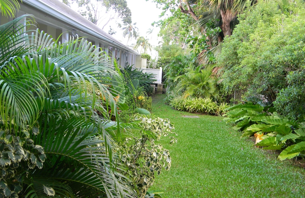 Island Inn Hotel Barbados 6/25