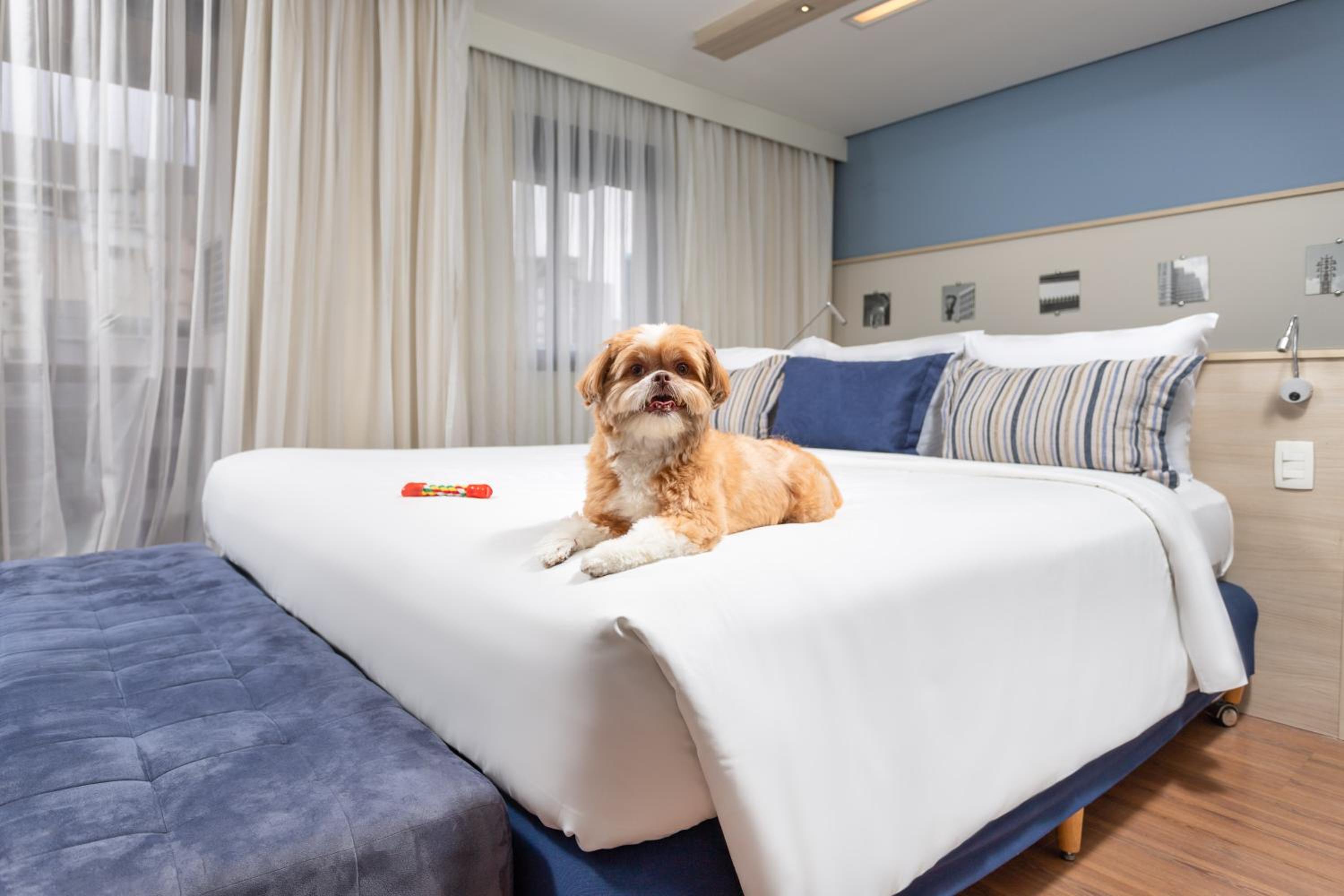 Superior, Single Bed, 1 King and 1 Single Beds, Mercure Sao Paulo Pamplona Hotel 6/10