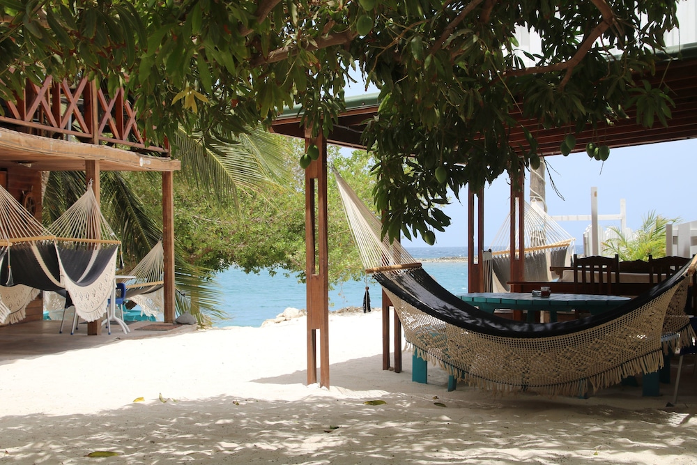 Coral Reef Beach Aruba 40/50