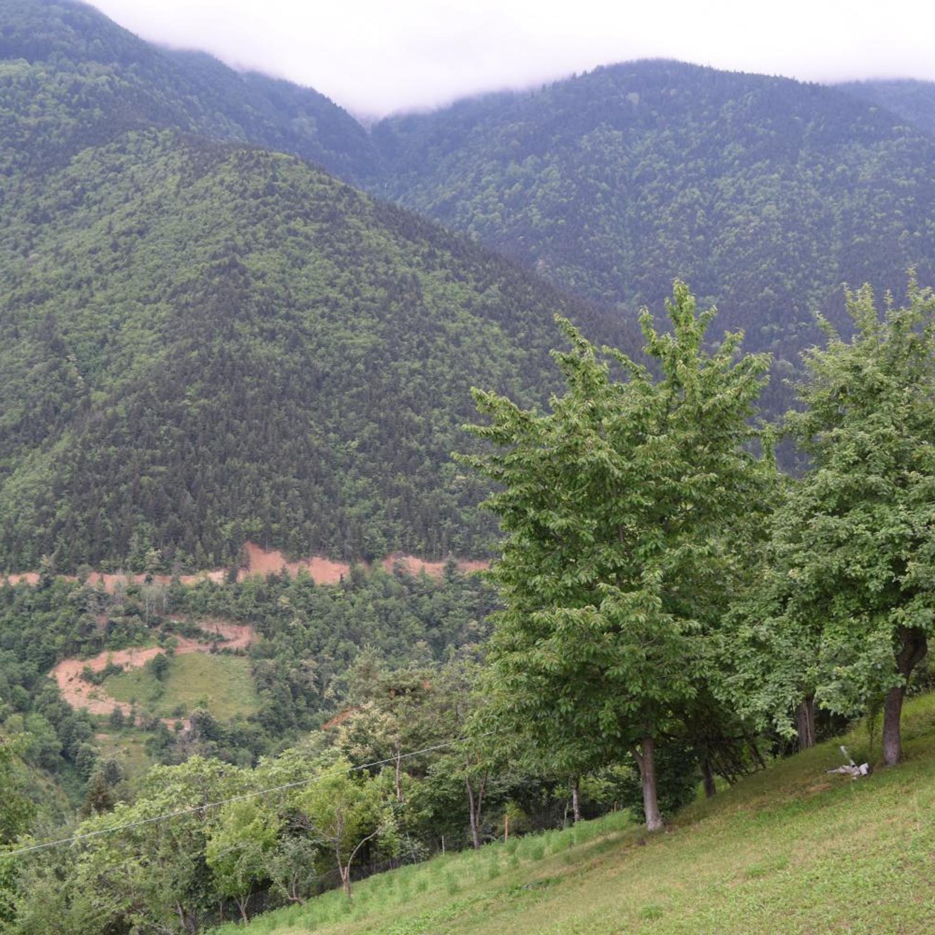Mars Otel Artvin 38/50