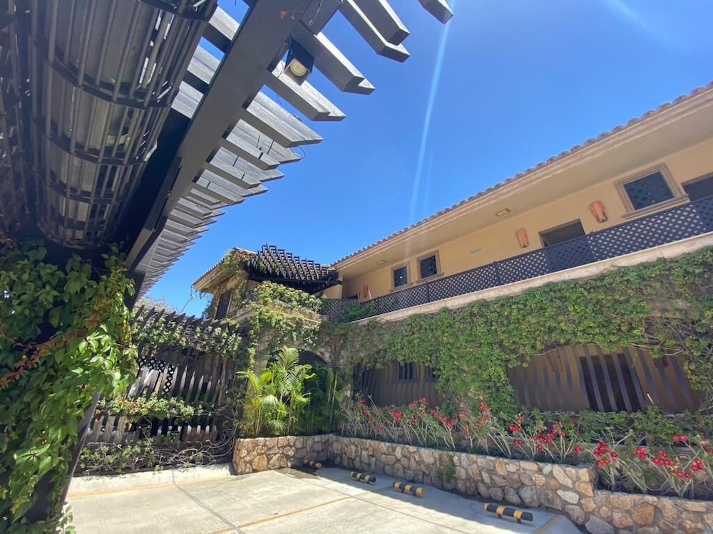 Cabo Vista Hotel - Adults Only 13/63