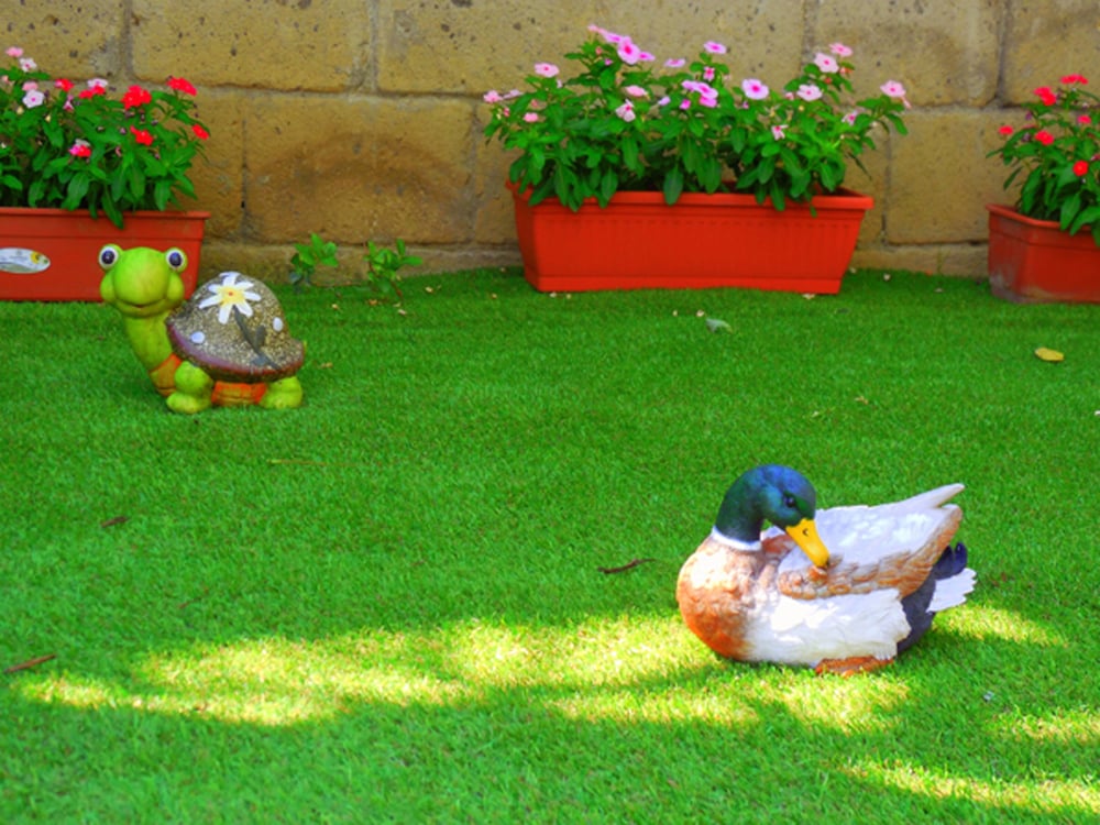 Villaggio Fiori Darancio 55/61