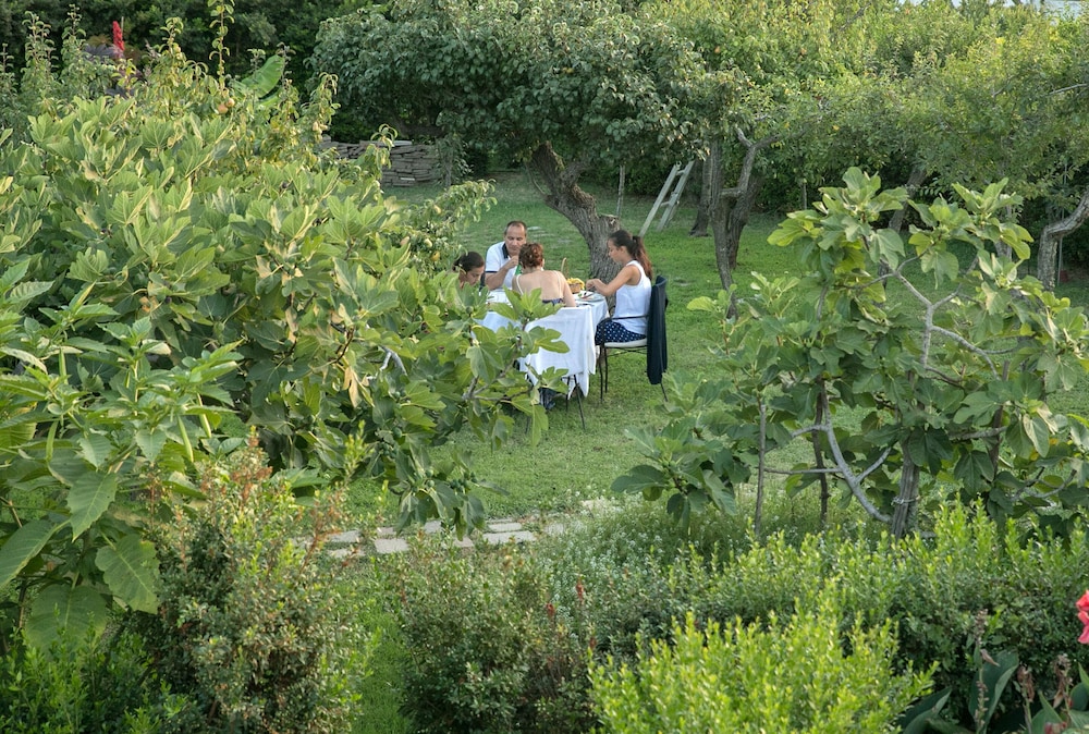 Hotel Al Mulino 23/50