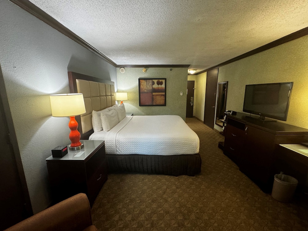Wingate Houston near NRG Park/Medical Center 23/54