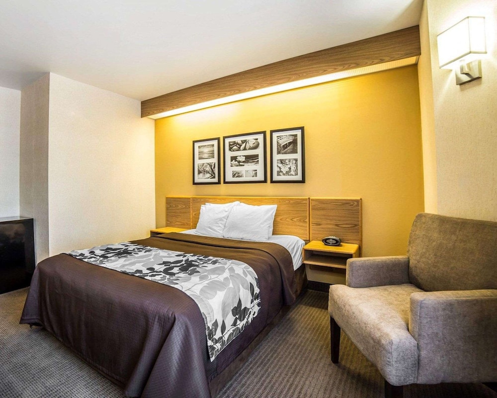 ROOM, QUEEN BED, ACCESSIBLE