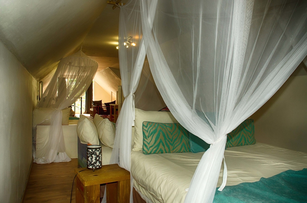 The Old House 7/37