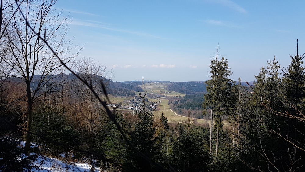 Hotel Platzhirsch 45/47