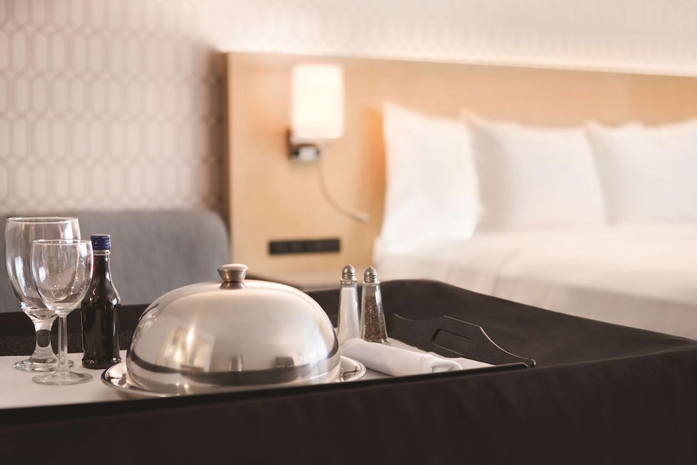 Radisson Hotel Charlotte Airport 14/41