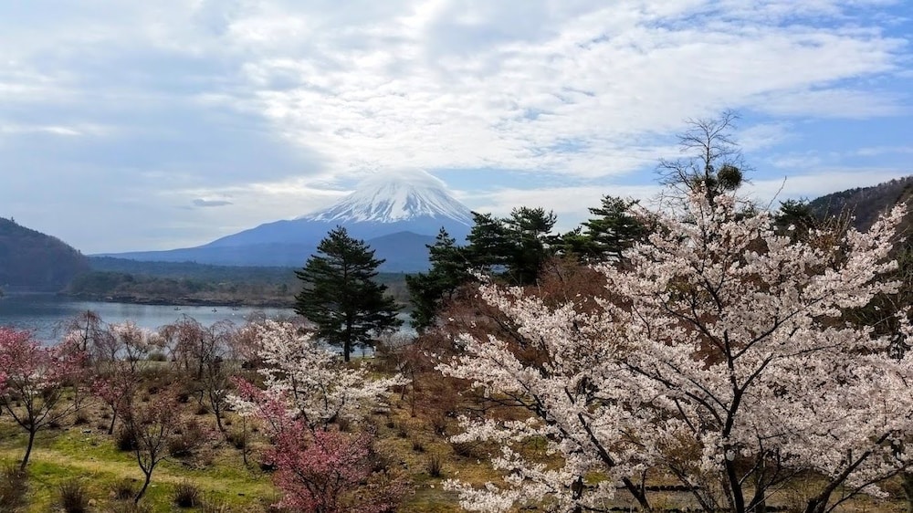Shoji Mount Hotel 45/49