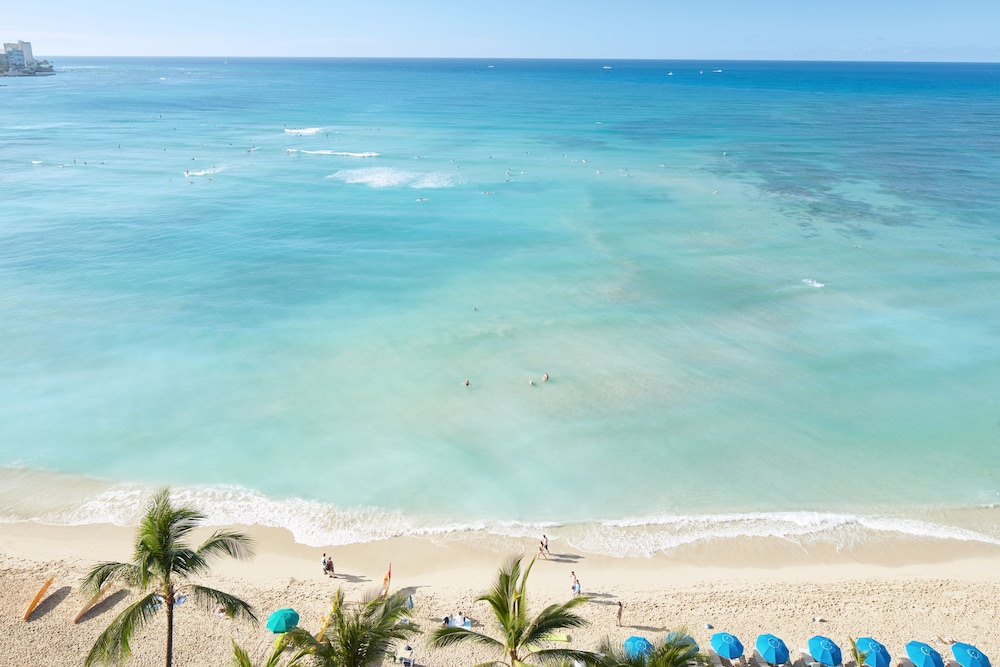 OUTRIGGER Waikiki Beach Resort 51/88