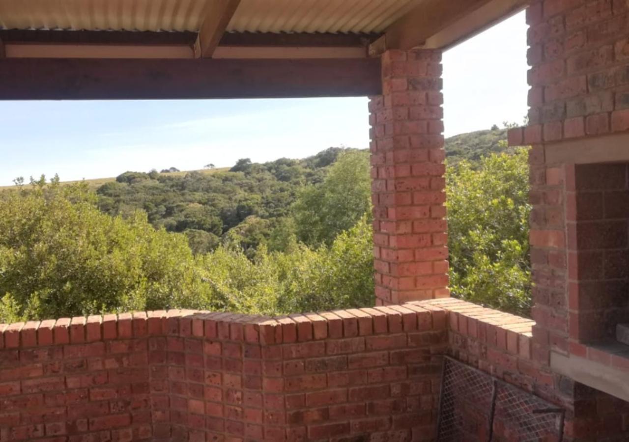 Blue Whale Resort 25/50