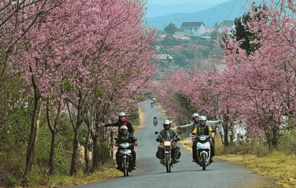 Park Hotel Dalat 41/49