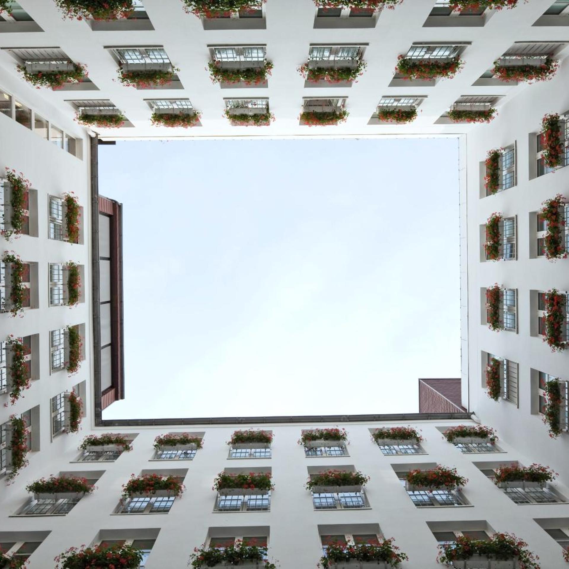 Grand Mussmann 2/51