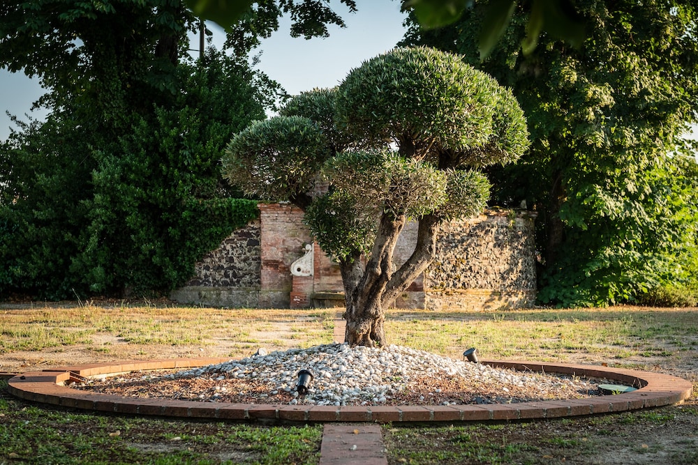 surroundings