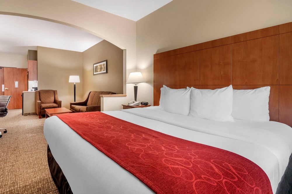 SUITE, KING BED, ACCESSIBLE